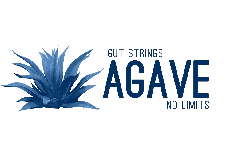 Agave Music Performance