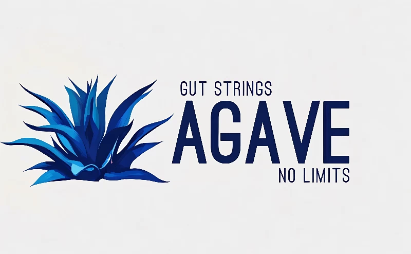 Agave Music Performance